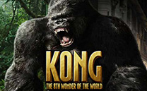 পর্বত রাজা